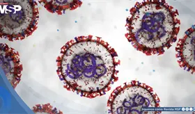 El hantavirus del crucero no es nuevo ni se contagia como la covid: Esto dicen los expertos