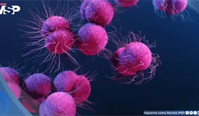Una inteligencia artificial descubre dos posibles compuestos contra la gonorrea multirresistente