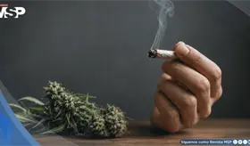 Consumo de marihuana podr&iacute;a agravar la esquizofrenia y adelantar s&iacute;ntomas hasta 3 a&ntilde;os