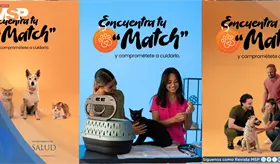 Secretario de Salud lanza campa&ntilde;a educativa para promover el cuidado responsable de los animales
