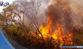 Incendios forestales y sequ&iacute;a elevan el riesgo respiratorio para personas con asma en Puerto Rico