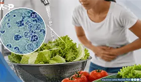 Ciclosporiasis: síntomas, tratamiento y prevención ante el brote en Estados Unidos
