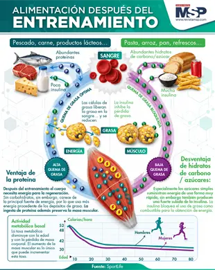 Alimentaci&oacute;n Despues del Entrenamiento
