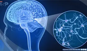 Esclerosis m&uacute;ltiple, una enfermedad degenerativa que causa da&ntilde;o en el sistema nervioso