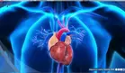Algunos tratamientos contra el c&aacute;ncer pueden afectar el coraz&oacute;n: qui&eacute;nes tienen mayor riesgo