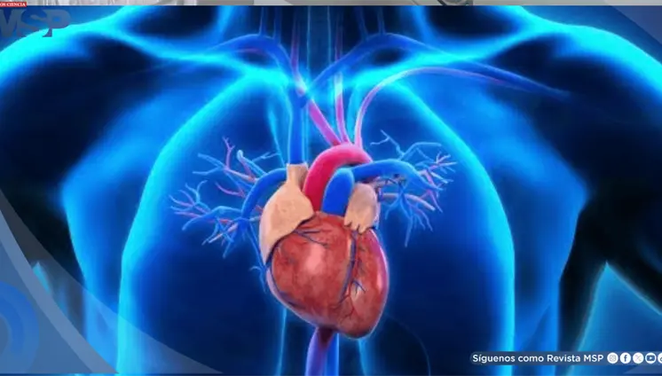 Algunos tratamientos contra el c&aacute;ncer pueden afectar el coraz&oacute;n: qui&eacute;nes tienen mayor riesgo