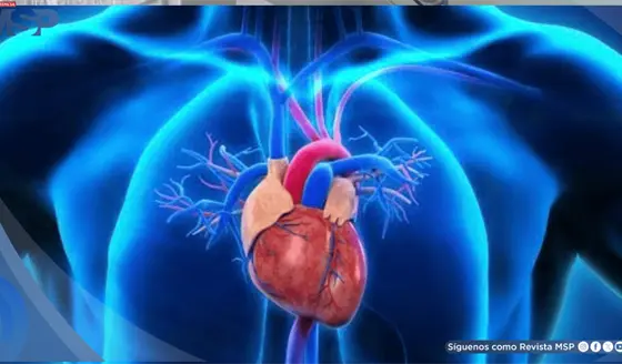 Un coraz&oacute;n engrosado: entendiendo la cardiomiopat&iacute;a hipertr&oacute;fica obstructiva