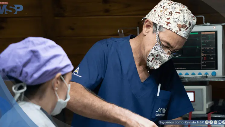 &iquest;Qui&eacute;nes est&aacute;n en riesgo de desarrollar miocardiopat&iacute;a hipertr&oacute;fica?