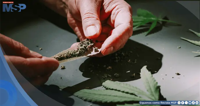 Asocian el consumo frecuente de cannabis con el empeoramiento de la epilepsia