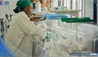 Klebsiella pneumoniae y Candida albicans, microorganismos relacionados con la muerte de ocho beb&eacute;s