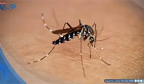 Puerto Rico supera los 1,000 casos provisionales de dengue en 2026, seg&uacute;n datos de los CDC