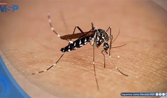 Puerto Rico supera los 1,000 casos provisionales de dengue en 2026, seg&uacute;n datos de los CDC