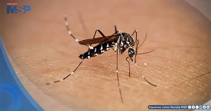 Puerto Rico supera los 1,000 casos provisionales de dengue en 2026, seg&uacute;n datos de los CDC