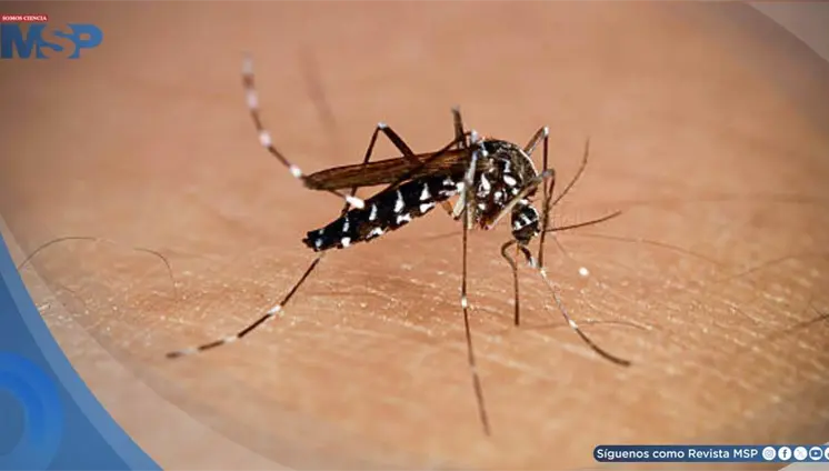 Puerto Rico supera los 1,000 casos provisionales de dengue en 2026, según datos de los CDC Puerto Rico supera los 1,000 casos provisionales de dengue en 2026, según datos de los CDC